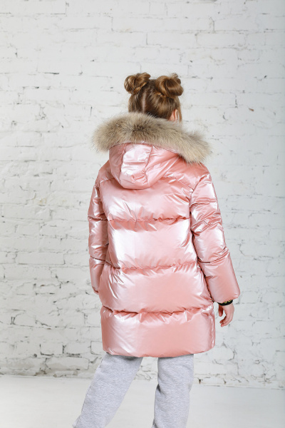 ed5cbabc-5f65-4888-bde4-e6c970d2196a